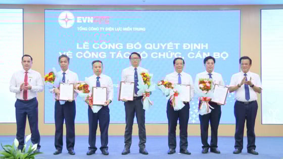 EVNCPC công bố quyết định thành lập 6 Công ty Điện lực sau sáp nhập