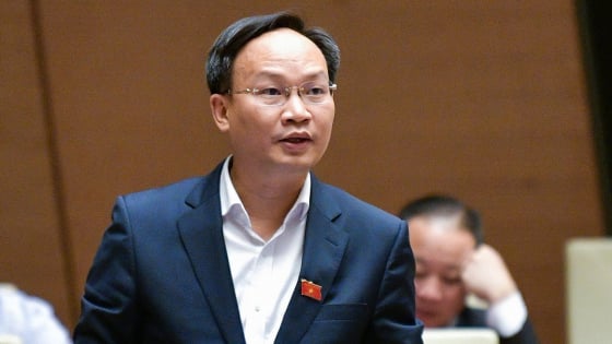 Phó Chủ tịch UBND tỉnh Bắc Ninh livestream bán vải: 'Nếu bà con cần, tôi sẵn sàng làm nữa'