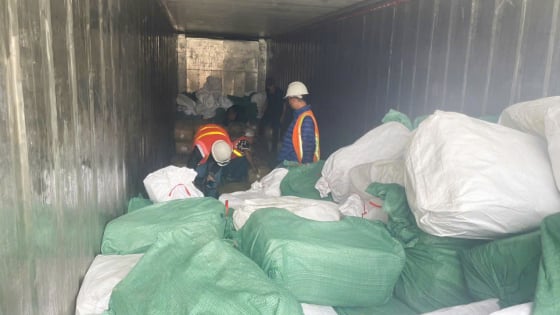 Khởi tố vụ xuất khống 1.400 tấn chân gà đông lạnh, trốn thuế hơn 7 tỷ đồng