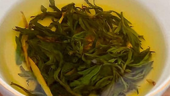 Loại rau dại là vị thuốc quý ở Việt Nam, bảo bối của phụ nữ, mùa hè làm trà uống nuôi dưỡng cơ thể