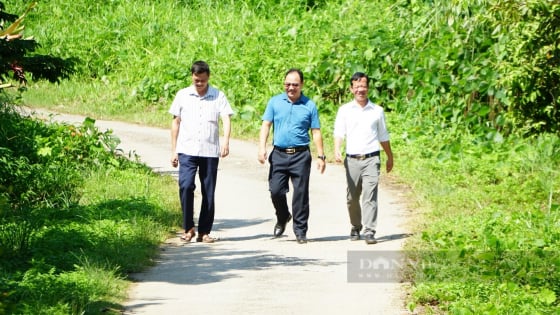 Để nông dân giỏi phát huy mạnh mẽ vai trò chủ thể xây dựng nông thôn mới: Những vướng mắc chính sách nào cần tháo gỡ?