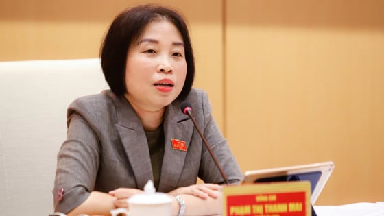 Vì sao HĐND TP Hà Nội chỉ dành nửa ngày chất vấn và trả lời chất vấn?