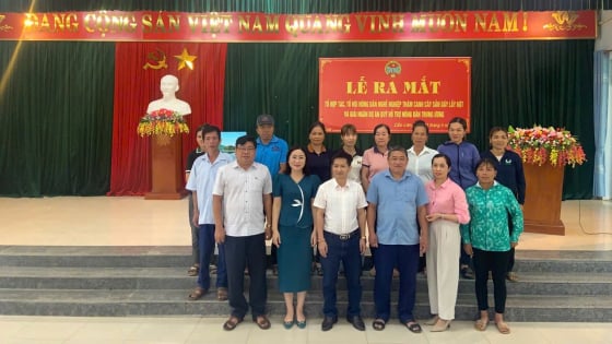 Thanh Hóa: Hiệu quả kinh tế-xã hội từ việc sử dụng tốt nguồn vốn Quỹ Hỗ trợ nông dân