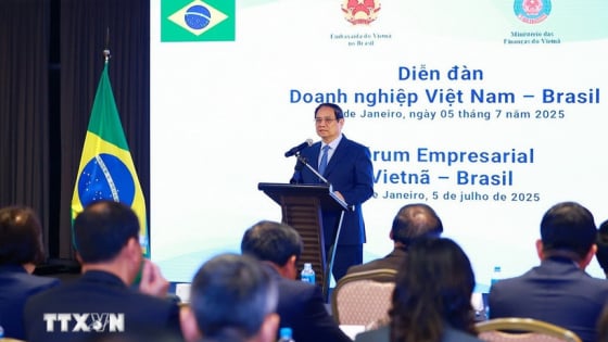 Đối tác Chiến lược Việt Nam-Brazil: 'Quan hệ kinh tế luôn là trụ cột quan trọng'