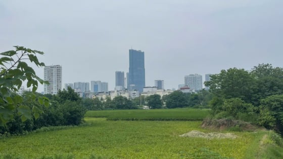 Từ 1/7/2025, chuyển mục đích sử dụng đất: Người dân phải nộp những khoản phí nào?