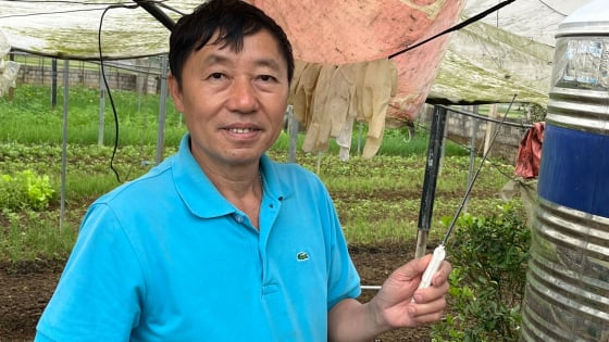 Người lính Lạng Sơn xuất ngũ, trở thành nông dân công nghệ cao