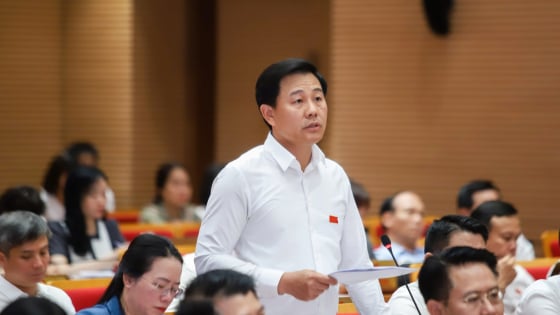 Giám đốc Sở của Hà Nội nói gì về việc “rau chiều hôm trước vừa phun thuốc, sáng hôm sau mang ra chợ bán”?