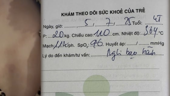 Cơ quan chức năng vào cuộc vụ phụ huynh tố giáo viên Trường Mầm non Gia Thụy bạo hành bé 4 tuổi