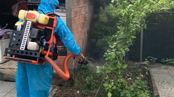 Huế kiểm tra đột xuất lò mổ sau khi ghi nhận 33 ca mắc liên cầu lợn 