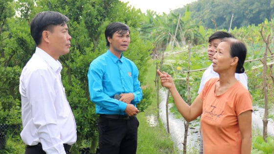 Phân công nhiệm vụ của Thường trực Hội Nông dân TP.HCM