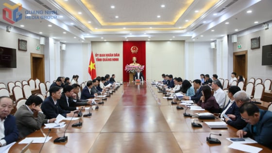 Quảng Ninh thành lập mới 1.150 doanh nghiệp trong nửa đầu năm 2025