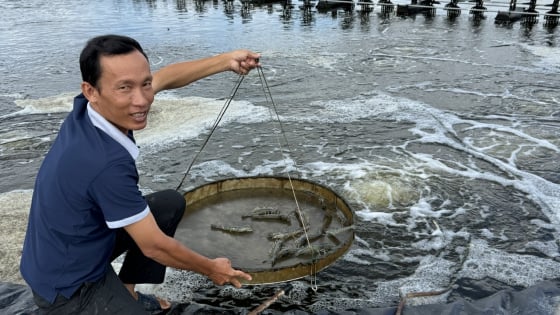 Tỷ phú Đồng Nai là một nông dân nuôi tôm công nghệ cao, gây dựng cơ nghiệp lớn từ 2 bàn tay trắng
