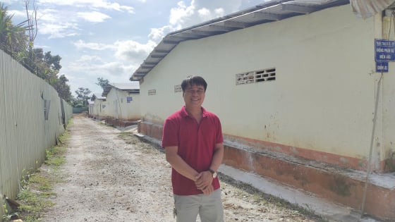 Liên kết nuôi gà dưới mái điện mặt trời, anh kỹ sư viễn thông Đắk Lắk 'nhặt' tiền tỷ