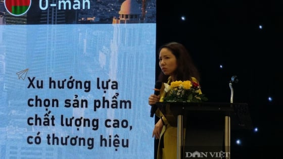 Bất ngờ cho doanh nghiệp Việt Nam, mì ăn liền có thể xuất khẩu tốt sang vùng Vịnh