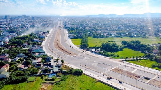 Ba nhà thầu cạnh tranh gói thầu cây xanh trên đại lộ nghìn tỷ ở Nghệ An  