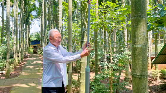 Một ông nông dân ở tỉnh Đắk Lắk mới có vỏn vẹn 4 sào đất, trồng cây gì mà lãi tiền tỷ, cả làng phục lăn?