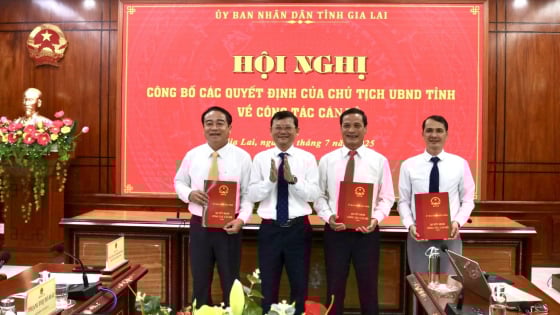 Gia Lai bổ nhiệm Phó Trưởng Ban Quản lý Khu kinh tế tỉnh 