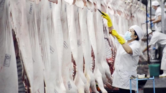 Đối phó với thực phẩm bẩn, doanh nghiệp TP.HCM tăng cường truy xuất nguồn gốc hàng hóa