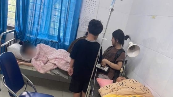 Sơn La: Sức khỏe 25 bệnh nhân nhập viện do ăn nộm hoa đu đủ đã ổn định 