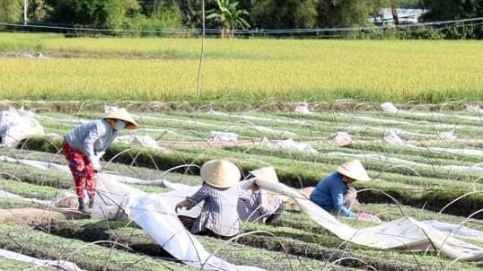 Tuyến ĐT 827E nối TP.HCM với ĐBSCL qua tỉnh Tây Ninh mới sắp có 3 cây cầu lớn, người dân mong đời sống đổi thay