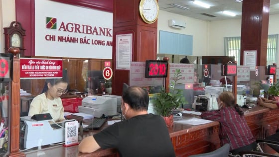 Agribank Chi nhánh Bắc Long An: Đồng hành phát triển kinh tế vùng biên giới