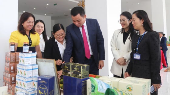 Để nông nghiệp hữu cơ không chỉ là 'trend': Những 'phép cộng' gia tăng giá trị nông sản sạch (Bài 3)