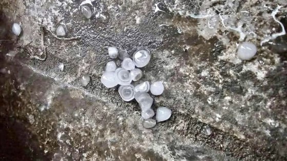 NÓNG: Quảng Ninh đột nhiên xuất hiện mưa đá giữa mùa hè, trước khi bão số 3 đổ bộ