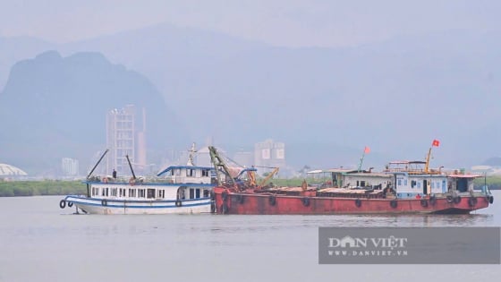 Tạm ứng bồi thường cho khách hàng gặp nạn trên tàu Vịnh Xanh 58