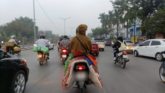 Kiểm soát giết mổ động vật: Gần 18.102 cơ sở hoạt động 'chui'