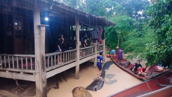 Giải cứu thành công 5 người dân mắc kẹt giữa dòng nước lũ ở xã Mường Xén, tỉnh Nghệ An (địa bàn huyện Kỳ Sơn cũ)