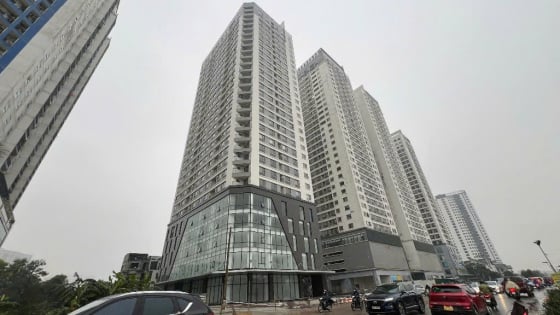 Chỉ 2% người thuê nhà có thể mua bất động sản