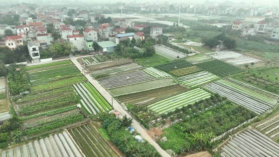 Tiền sử dụng đất 'làm khó' nhà đầu tư và thị trường bất động sản