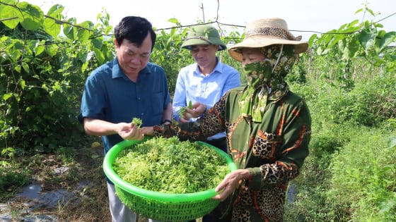 Hội Nông dân Thanh Hóa gắn kết hội viên qua chi, tổ hội nghề nghiệp, nông dân khá giả hẳn lên