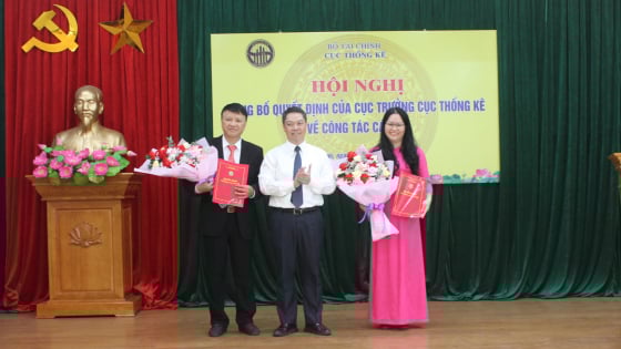 Cục Thống kê bổ nhiệm lãnh đạo mới tại 10 tỉnh, thành