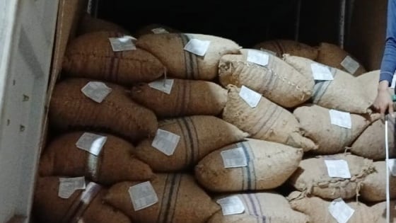 Cục Hải quan Việt Nam cảnh báo doanh nghiệp nhập khẩu điều thô dùng bao chứa cũ, nhập nhèm nhãn mác