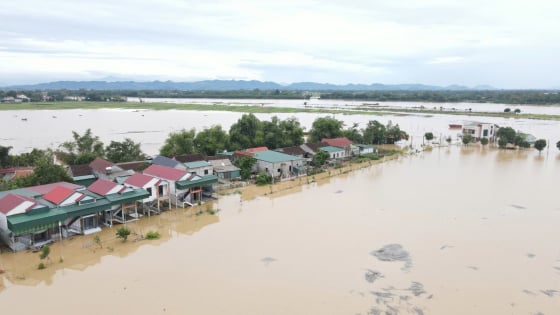 Nước lũ sông Cả đổ về, vùng ven sông La ở Hà Tĩnh bị chia cắt, cá nuôi, hoa màu chìm nghỉm