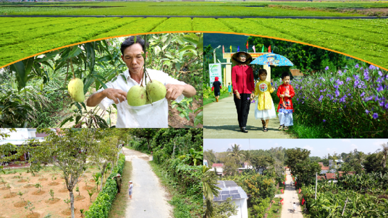 Hoàn thiện Bộ tiêu chí nông thôn mới giai đoạn 2026–2030: Phân nhóm xã để sát thực tiễn, rõ vai trò từng tiêu chí