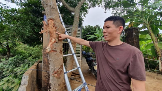 Người dân kể lại giây phút chứng kiến tai nạn xe khách, cứu vợ chồng nạn nhân bằng cách hướng dẫn hà hơi thổi ngạt