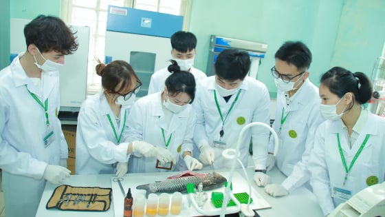 Học viện Nông nghiệp Việt Nam công bố mức điểm nhận hồ sơ xét tuyển đại học hệ chính quy năm 2025