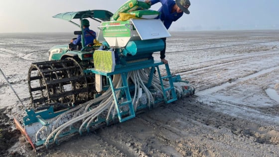 Lợi ích của phân bón cải tạo đất