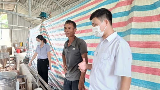 Đến một xã mới của tỉnh Lào Cai sau sáp nhập Yên Bái, thấy chuồng lợn trống không, dân 'buồi thối ruột', rõ khổ