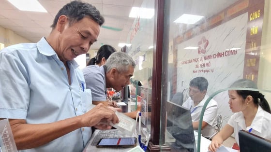 Từ ngó khoai Thái Lan đến thuốc lào OCOP: 'Tân binh' Yên Mô  đang bứt phá nhờ nông nghiệp số ở tỉnh Ninh Bình mới
