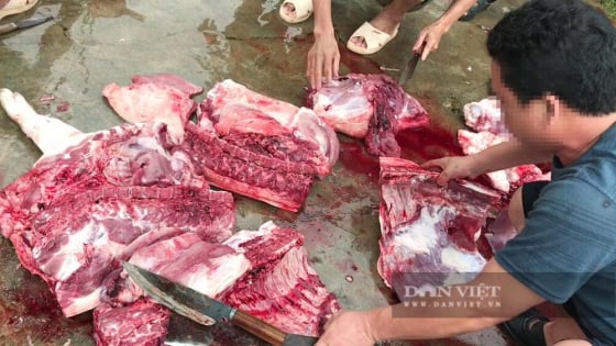 Dịch tả lợn châu Phi âm ỉ, Đồng Nai đề xuất tăng gấp 5 lần mức phạt giết mổ lậu vì quá nhiều điểm nóng