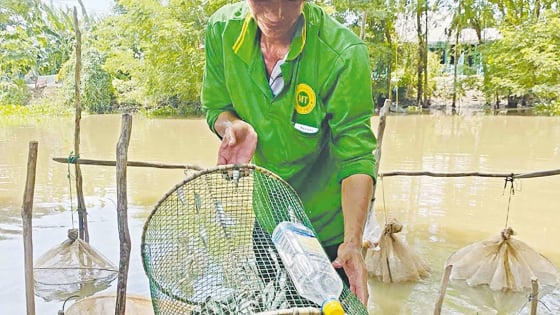 Trên dòng kênh lớn nhất Việt Nam, mùa này dân miền Tây ngóng lũ lên đồng, vá lưới còn bắt cá tôm ngon