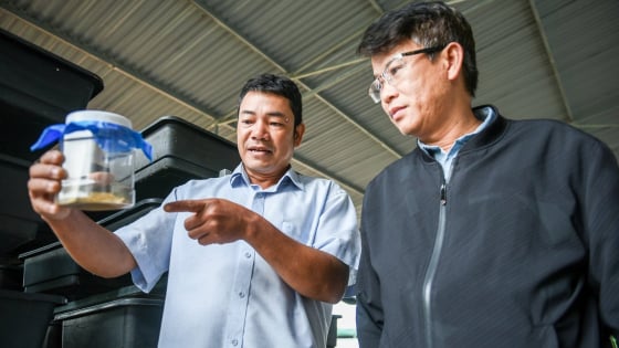 Bỏ lương 30 triệu/tháng, một kỹ sư Lâm Đồng về làm nông nghiệp tuần hoàn kiểu gì mà tự trả lương gấp 3 lần công ty?