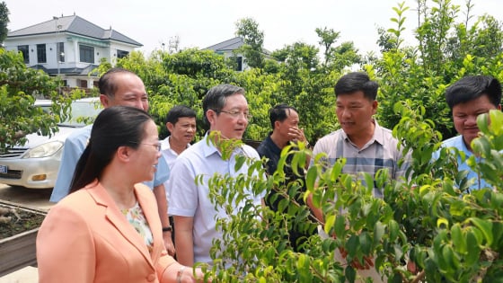 Đại hội Đảng bộ T.Ư Hội Nông dân Việt Nam lần thứ I nhiệm kỳ 2025-2030: Đoàn kết-Dân chủ-Kỷ cương-Đổi mới-Phát triển
