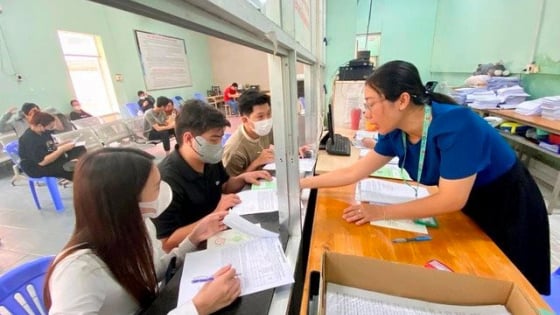 Số người hưởng trợ cấp thất nghiệp tại TP.HCM giảm nhẹ so với năm 2024