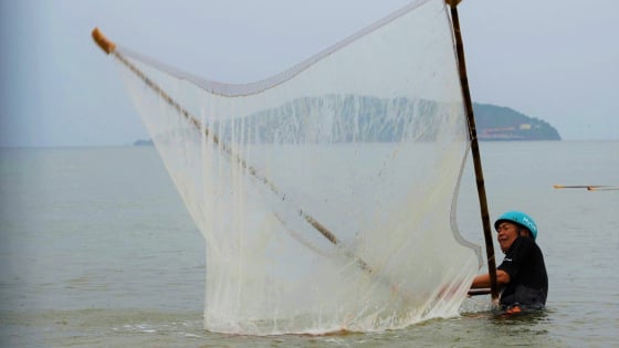 Con ruốc là con gì mà dân phường Cửa Lò ở Nghệ An mang thứ này ra hớt, 'bỏ túi' tiền triệu?