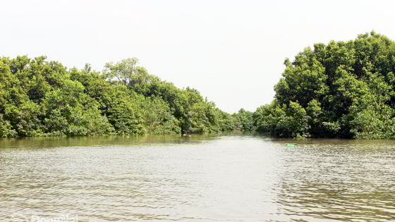 Nơi này ở tỉnh Đồng Nai la liệt đặc sản cá nước lợ, tôm nước lợ, nghe tên đã thấy ngon lắm rồi