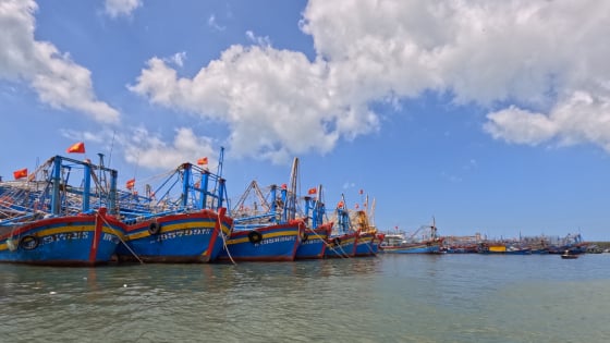 Chống khai thác IUU: TP.HCM xử lý tàu cá vi phạm và cả cán bộ nếu không hoàn thành nhiệm vụ